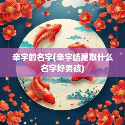 辛字的名字(辛字结尾取什么名字好男孩)