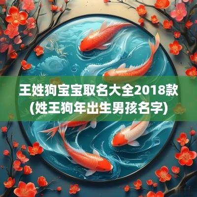 王姓狗宝宝取名大全2018款(姓王狗年出生男孩名字)