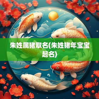 朱姓属猪取名(朱姓猪年宝宝起名)