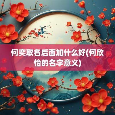 何奕取名后面加什么好(何欣怡的名字意义)