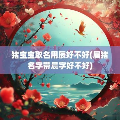 猪宝宝取名用辰好不好(属猪名字带晨字好不好)