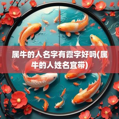 属牛的人名字有霞字好吗(属牛的人姓名宜带)
