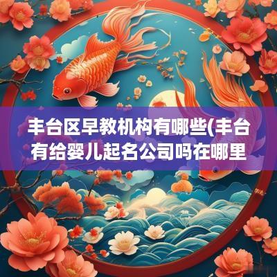 丰台区早教机构有哪些(丰台有给婴儿起名公司吗在哪里)