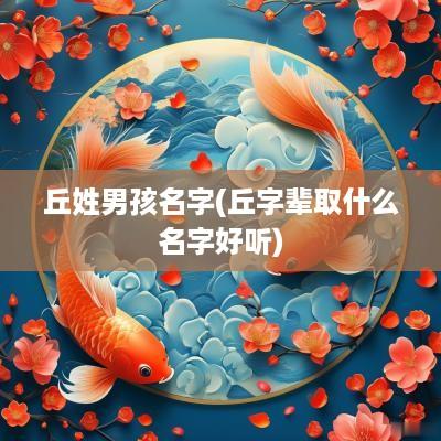丘姓男孩名字(丘字辈取什么名字好听)