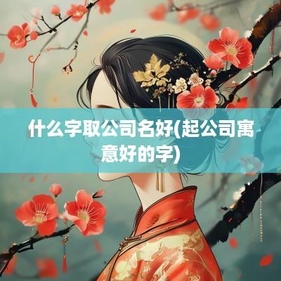 什么字取公司名好(起公司寓意好的字)