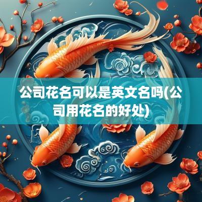 公司花名可以是英文名吗(公司用花名的好处)