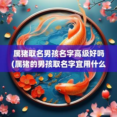 属猪取名男孩名字高级好吗(属猪的男孩取名字宜用什么字)