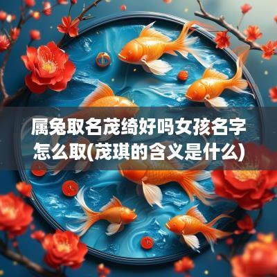 属兔取名茂绮好吗女孩名字怎么取(茂琪的含义是什么)