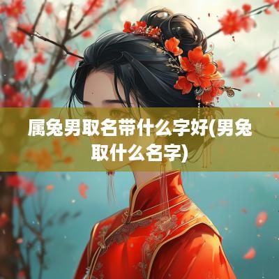属兔男取名带什么字好(男兔取什么名字)