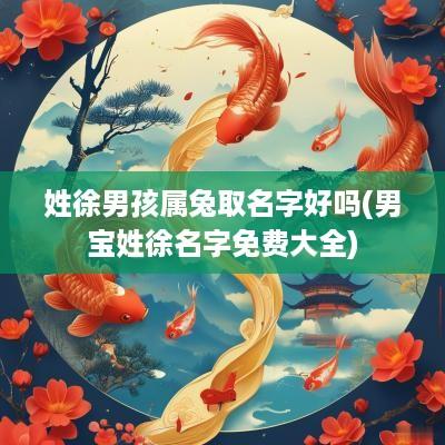 姓徐男孩属兔取名字好吗(男宝姓徐名字免费大全)