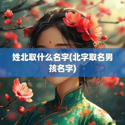 姓北取什么名字(北字取名男孩名字)