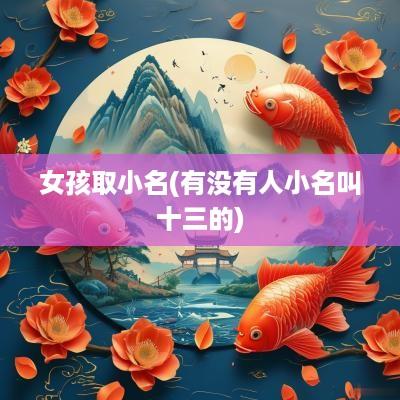 女孩取小名(有没有人小名叫十三的)