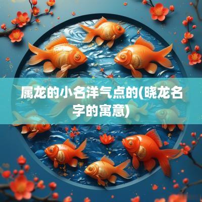 属龙的小名洋气点的(晓龙名字的寓意)