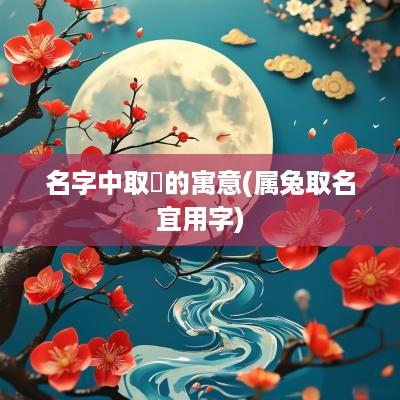 名字中取珺的寓意(属兔取名宜用字)