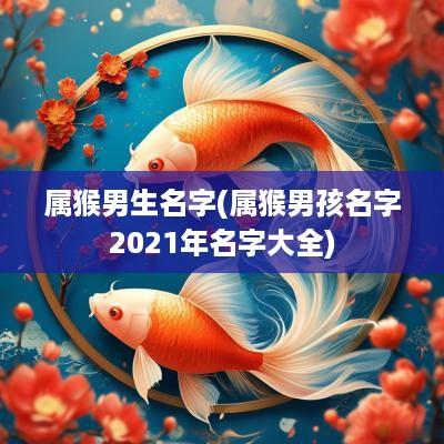 属猴男生名字(属猴男孩名字2025年名字大全)