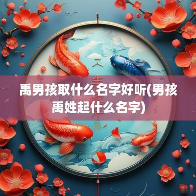 禹男孩取什么名字好听(男孩禹姓起什么名字)