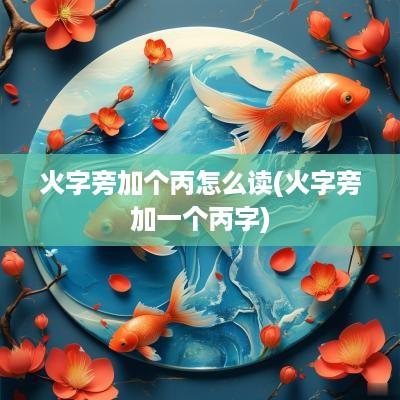 火字旁加个丙怎么读(火字旁加一个丙字)
