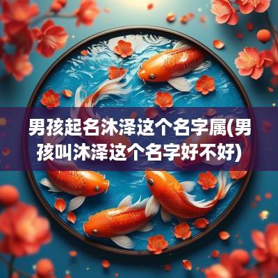 男孩起名沐泽这个名字属(男孩叫沐泽这个名字好不好)