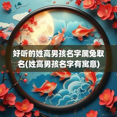 好听的姓高男孩名字属兔取名(姓高男孩名字有寓意)