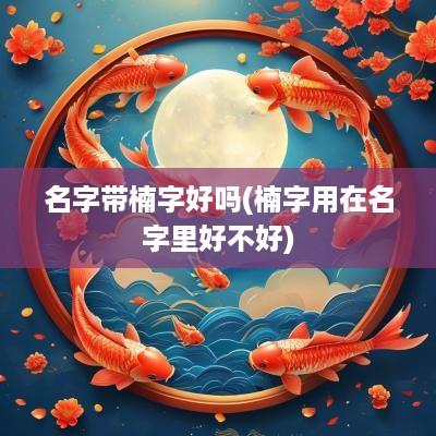 名字带楠字好吗(楠字用在名字里好不好)