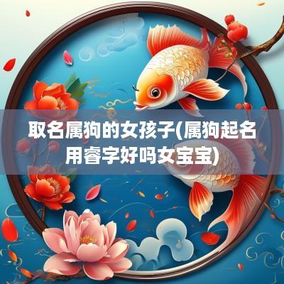 取名属狗的女孩子(属狗起名用睿字好吗女宝宝)