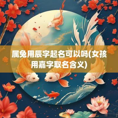 属兔用辰字起名可以吗(女孩用嘉字取名含义)