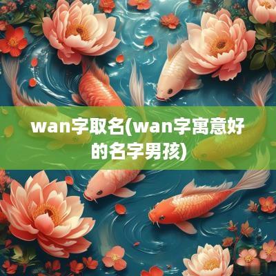 wan字取名(wan字寓意好的名字男孩)