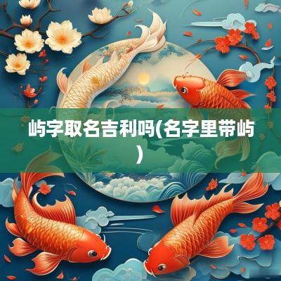 屿字取名吉利吗(名字里带屿)
