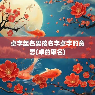 卓字起名男孩名字卓字的意思(卓的取名)