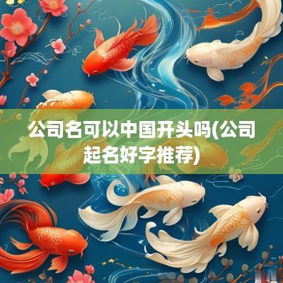 公司名可以中国开头吗(公司起名好字推荐)