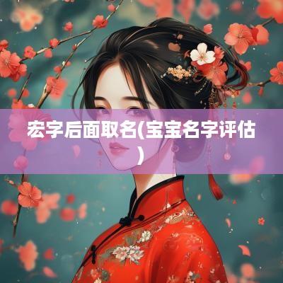 宏字后面取名(宝宝名字评估)