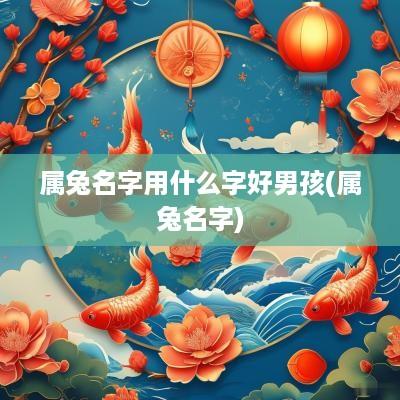 属兔名字用什么字好男孩(属兔名字)