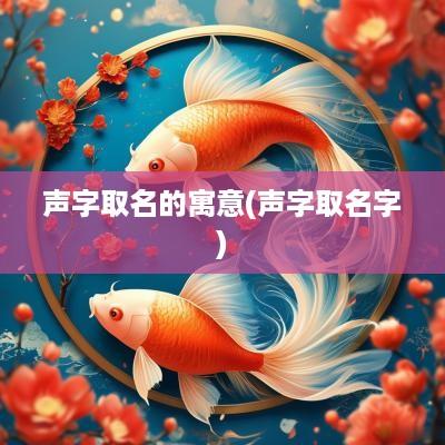 声字取名的寓意(声字取名字)