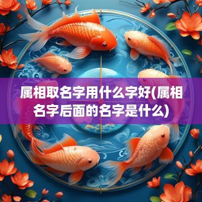 属相取名字用什么字好(属相名字后面的名字是什么)