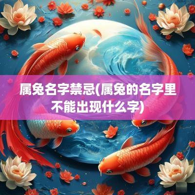 属兔名字禁忌(属兔的名字里不能出现什么字)