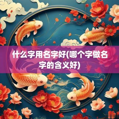 什么字用名字好(哪个字做名字的含义好)