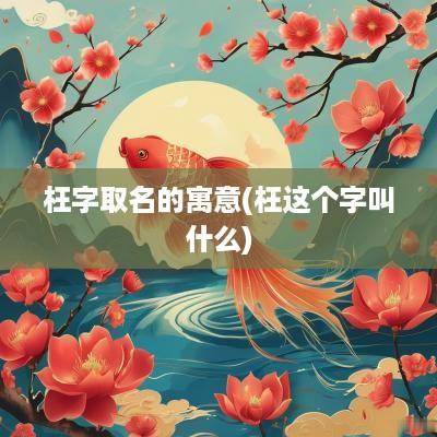 枉字取名的寓意(枉这个字叫什么)