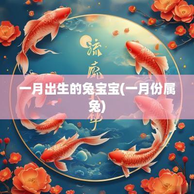 一月出生的兔宝宝(一月份属兔)