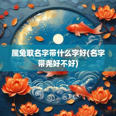 属兔取名字带什么字好(名字带尧好不好)