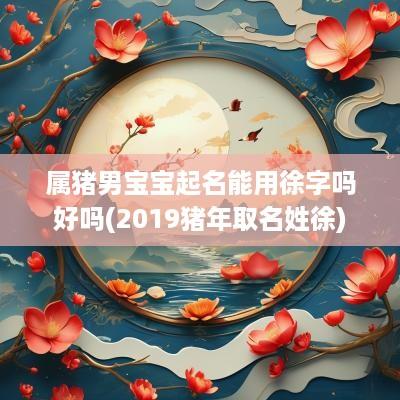 属猪男宝宝起名能用徐字吗好吗(2019猪年取名姓徐)
