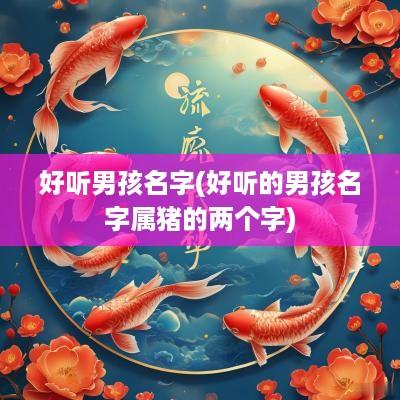 好听男孩名字(好听的男孩名字属猪的两个字)