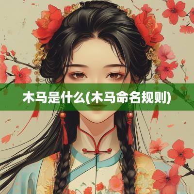 木马是什么(木马命名规则)