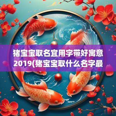 猪宝宝取名宜用字带好寓意2019(猪宝宝取什么名字最好)