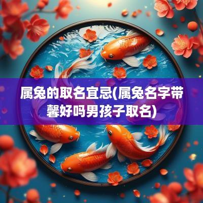 属兔的取名宜忌(属兔名字带馨好吗男孩子取名)