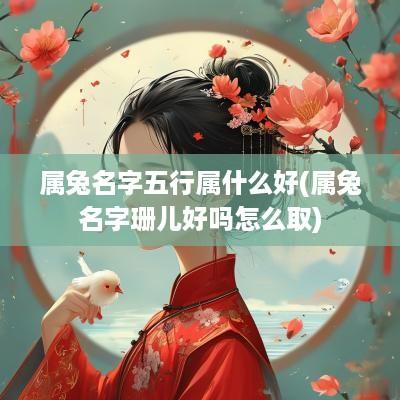 属兔名字五行属什么好(属兔名字珊儿好吗怎么取)