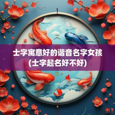 士字寓意好的谐音名字女孩(士字起名好不好)