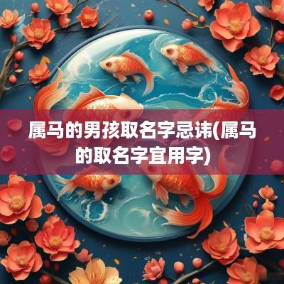 属马的男孩取名字忌讳(属马的取名字宜用字)