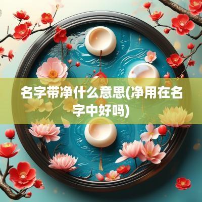 名字带净什么意思(净用在名字中好吗)