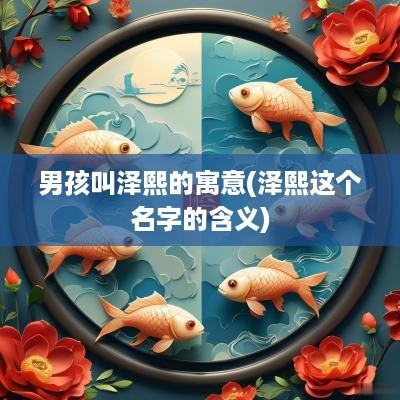 男孩叫泽熙的寓意(泽熙这个名字的含义)