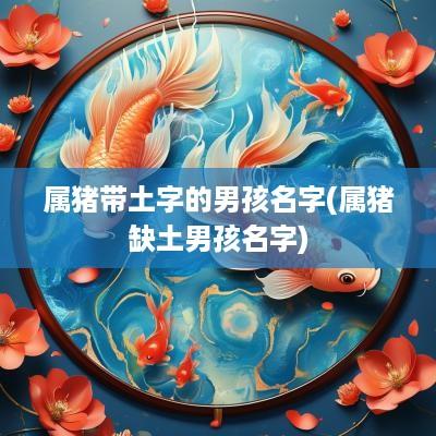 属猪带土字的男孩名字(属猪缺土男孩名字)
